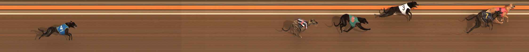 Race result finish photo